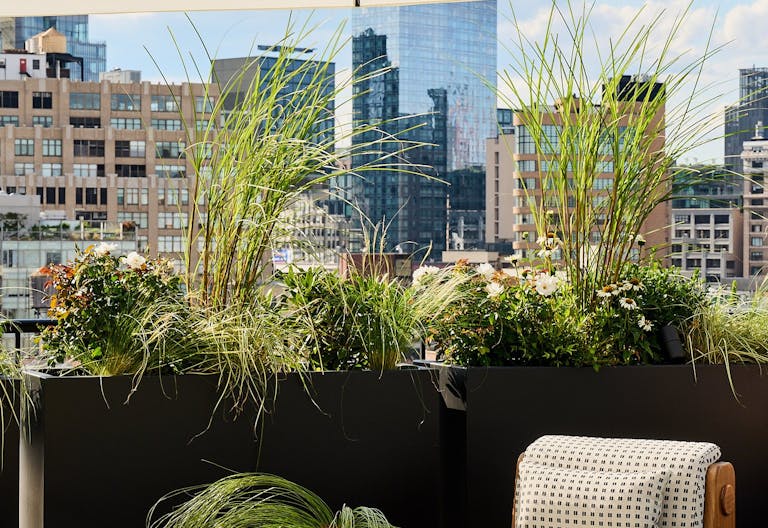 Premier SOHO Rooftop Event Space - 4000 square foot - Image 4