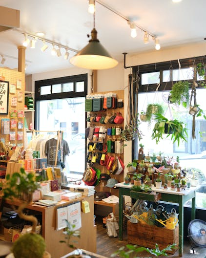 Pop-Up Perfect Space in Williamsburg – Shared with Trendy Bonsai Shop - Image 0