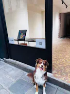 Espace Artistique lumineux et carré dans le Marais - Image 4