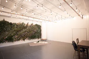 DTLA - Ivy Wall Studio with Mirrors - Image 2