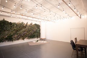 DTLA - Ivy Wall Studio with Mirrors - Image 2