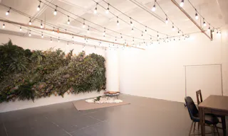 DTLA - Ivy Wall Studio with Mirrors - Image 2