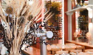 Restaurant � Paris... pr�s de la Madeleine, de l'Op�ra et des Grands Boulevards! - Image 10