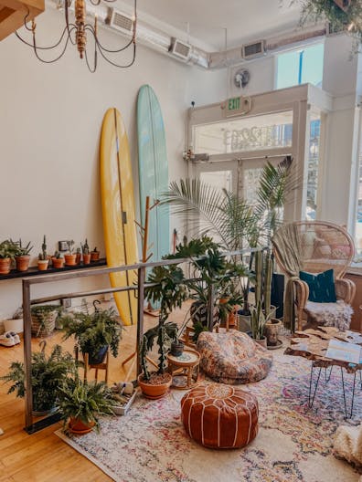 Plant-filled Community Space in the Marina District - Image 4