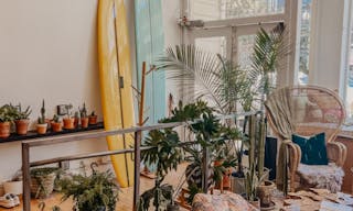 Plant-filled Community Space in the Marina District - Image 4