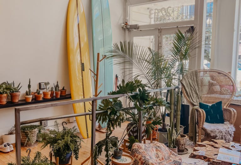 Plant-filled Community Space in the Marina District - Image 4