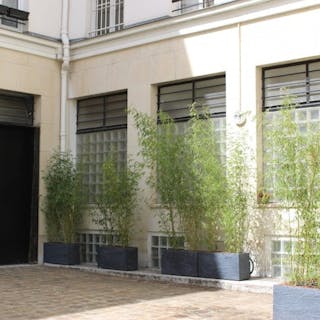 Showroom Froissart Cour - Image 0