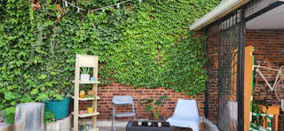 HIDDEN GEM! PROMO RATE Plant-Filled, Spacious, Bright Outdoor Event Space with Tons of Natural Light, Conveniently Located - Image 4