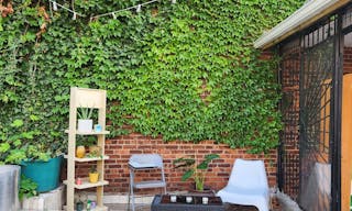 HIDDEN GEM! PROMO RATE Plant-Filled, Spacious, Bright Outdoor Event Space with Tons of Natural Light, Conveniently Located - Image 4