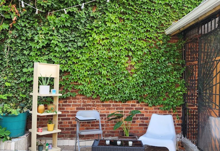 HIDDEN GEM! PROMO RATE Plant-Filled, Spacious, Bright Outdoor Event Space with Tons of Natural Light, Conveniently Located - Image 4