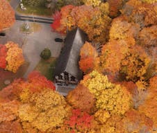 Simply Magical - Image 6