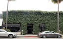 Greenery Covered Store in Beverly Hills