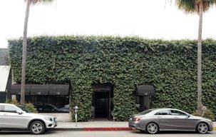 Greenery Covered Store in Beverly Hills - Image 0