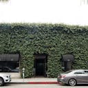 Greenery Covered Store in Beverly Hills