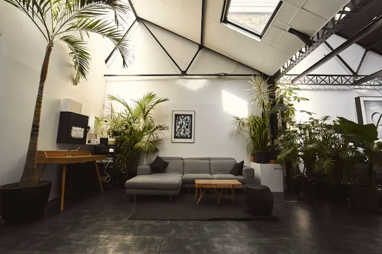 Studio photo, showroom - Image 1