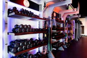Private Gym in Woodland Hills - Image 14
