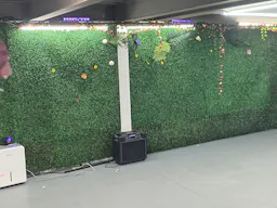 vine cellar - Image 4