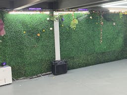 vine cellar - Image 4