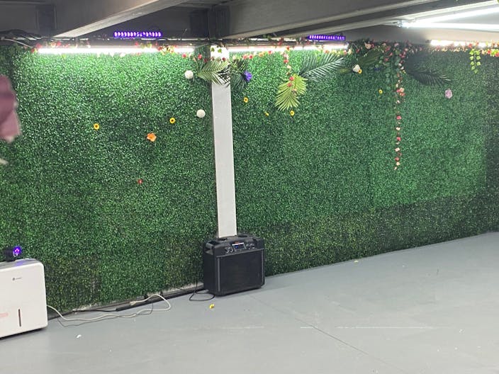 vine cellar - Image 4