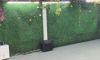 vine cellar - Image 4