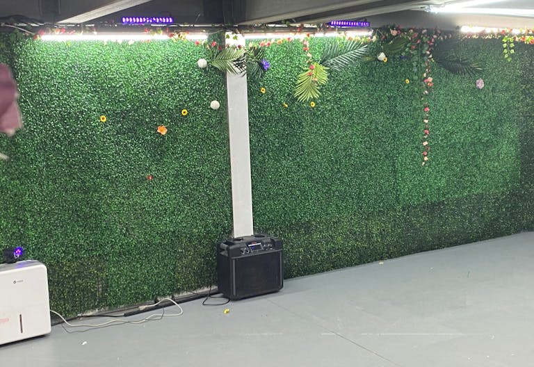 vine cellar - Image 4