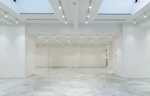 Show Room - Image 5