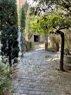 Ancienne huilerie - lieu hustorique et atypique - Image 2