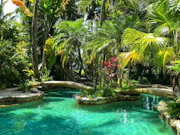 Oasis Shooting and Videos Productions Venue in Davie, FL - Image 4