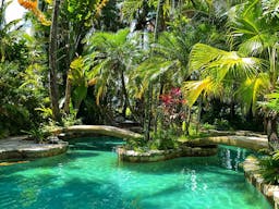 Oasis Shooting and Videos Productions Venue in Davie, FL - Image 4