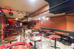 Historical SoHo Performing Arts Venue - Image 3