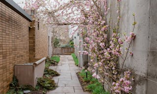 An Unexpected Event Venue and Botanic Garden in Brooklyn, NY - Image 12