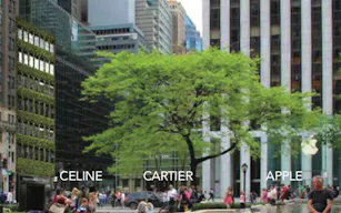 Unique Retail Space next to Central Park - Image 2