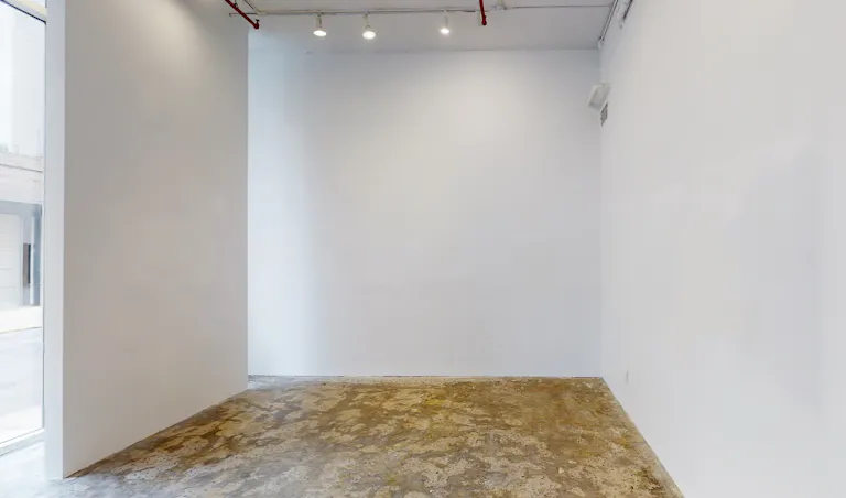 Street Level Chelsea Gallery with Outdoor Terrace - Image 2