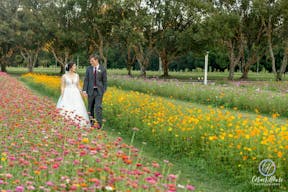 Stunning Flower Fields with Florida Wildflowers - Image 0