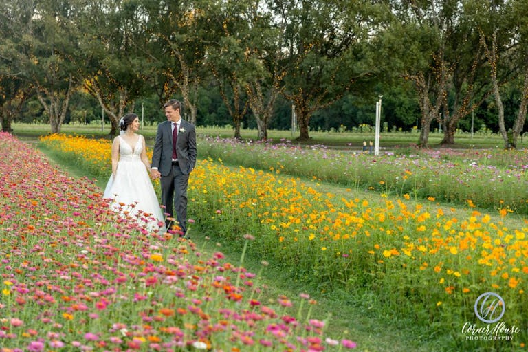 Stunning Flower Fields with Florida Wildflowers - Image 0