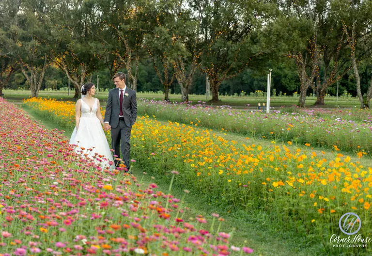 Stunning Flower Fields with Florida Wildflowers - Image 0