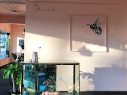 Eclectic Boutique Space in Downtown Coeur d'Alene - Image 4