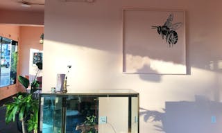 Eclectic Boutique Space in Downtown Coeur d'Alene - Image 4