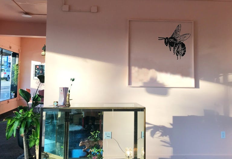 Eclectic Boutique Space in Downtown Coeur d'Alene - Image 4