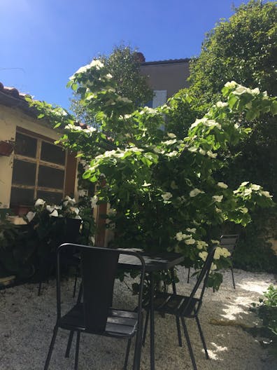 Bureau 11M2 dans une b�tisse de charme au coeur de Bordeaux, acc�s cuisine et jardin - Image 3