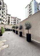 Amazing 300m2 for Showrooms and Events - Image 14