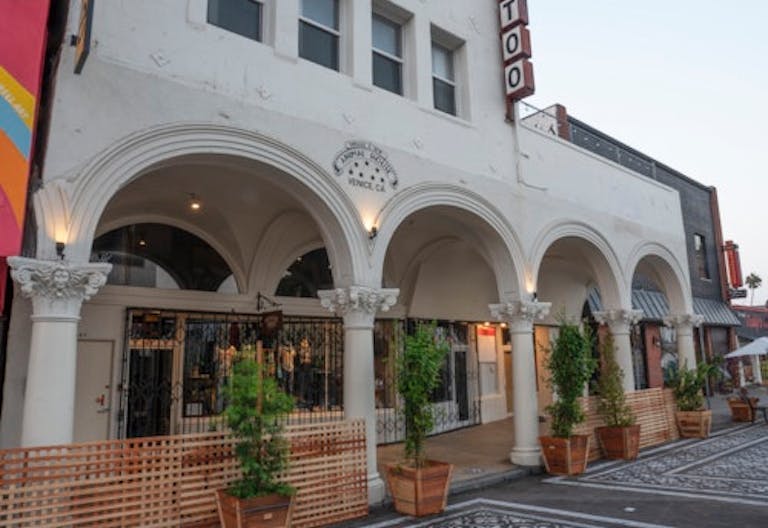 Brand Activation under Venice Sign - Image 3