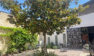 Bureau privatif et acc�s aux communs, dans un immeuble d'architecte au coeur des Chartrons � Bordeaux - 19M2 - Image 11