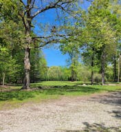 Beautiful Estate in Climax, NC - Image 4