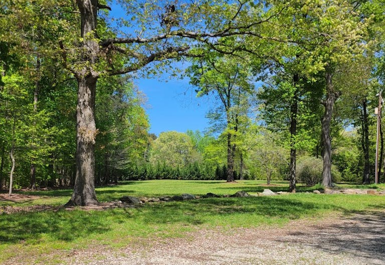 Beautiful Estate in Climax, NC - Image 4