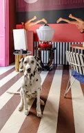CASA ORNELLA MILANO - A perfect Pop Up and events location downtown in Milan - Image 13