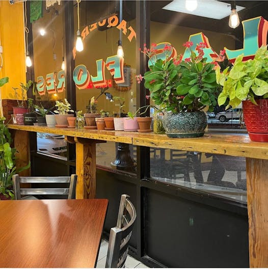 Northside Taqueria - near university campuses - Image 3