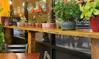 Northside Taqueria - near university campuses - Image 3