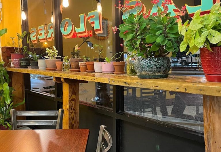 Northside Taqueria - near university campuses - Image 3