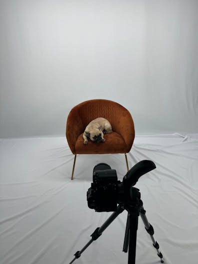 Studio photos tournage vid�os - Image 3